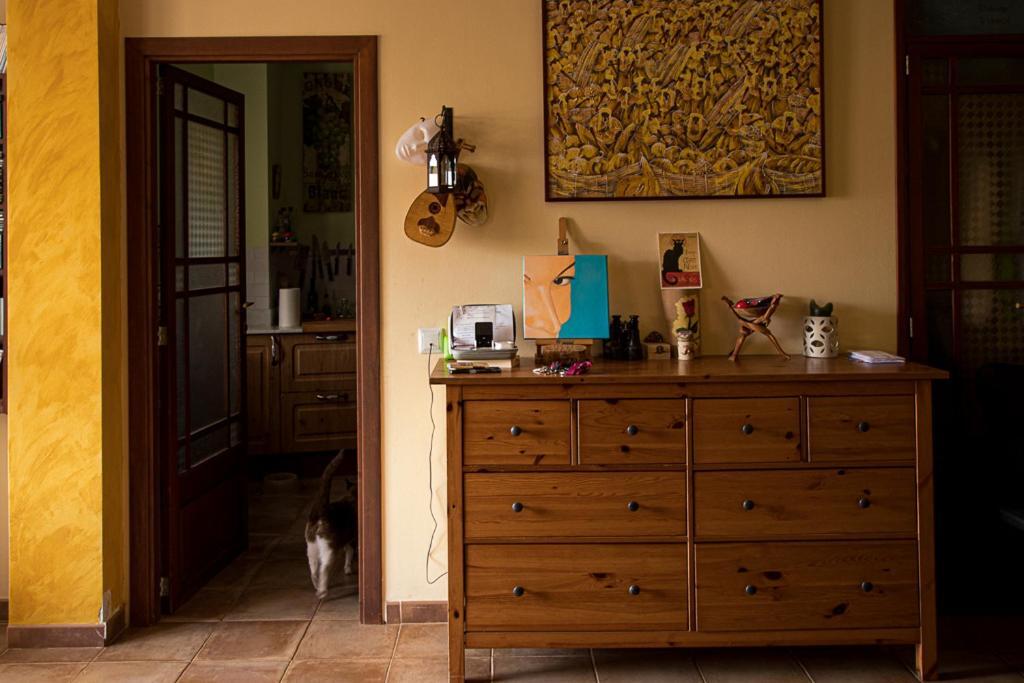 Apartment Acogedora Vivienda En Santa Maria Santa Maria del Cami (Mallorca)